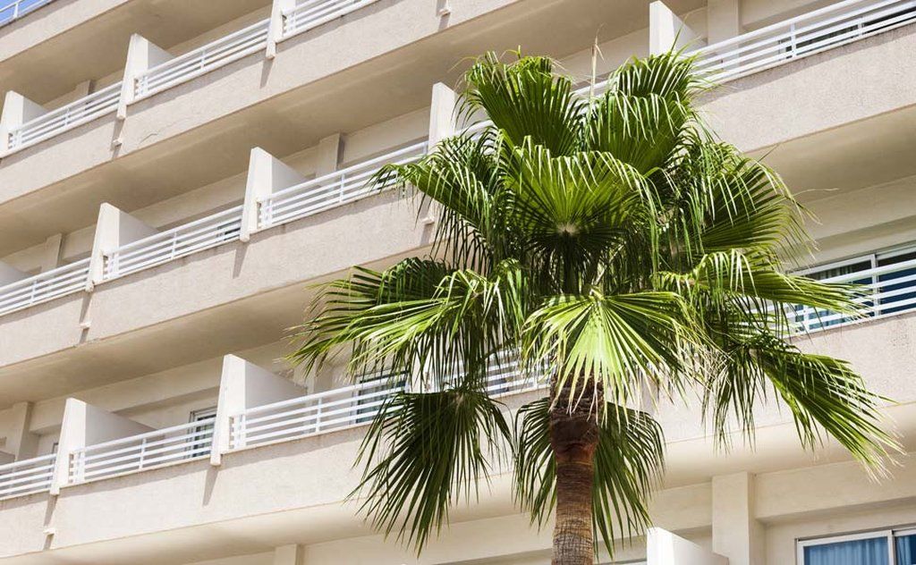 Globales Santa Ponsa Park Hotel Екстериор снимка